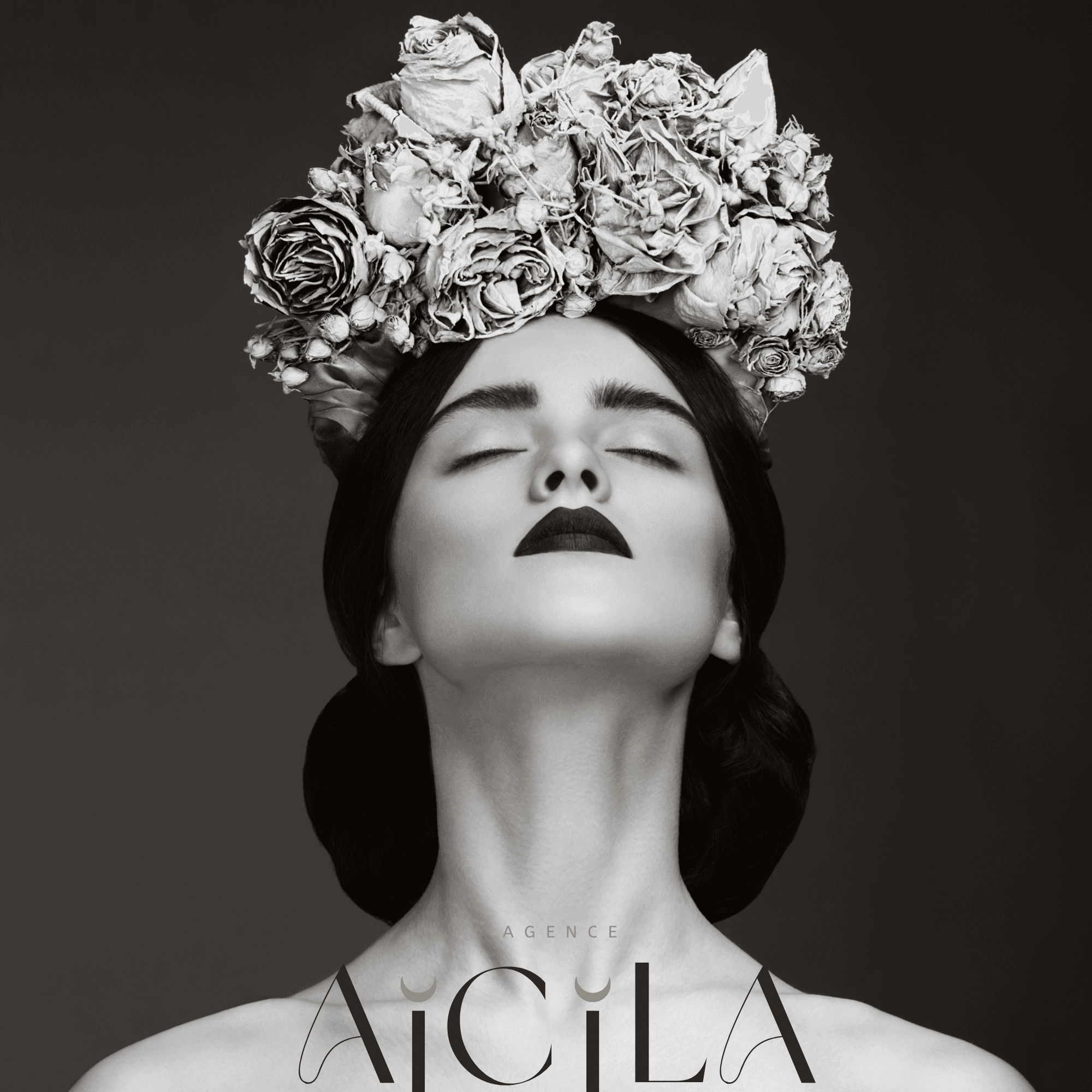 Aicila, image principale du site